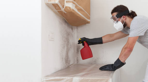 Professional Basement Mold Remediation technician working in Henderson, GA