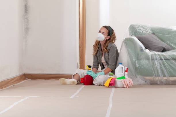 Reliable Basement Mold Remediation contractor in Henderson, GA by Mold Remediation HQ